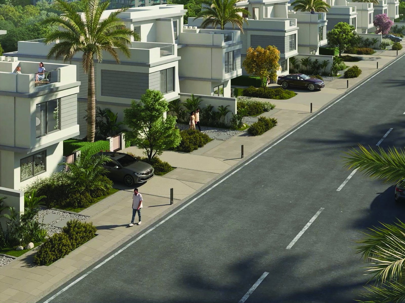 زايد جرينز 3 — Zayed Greens 3